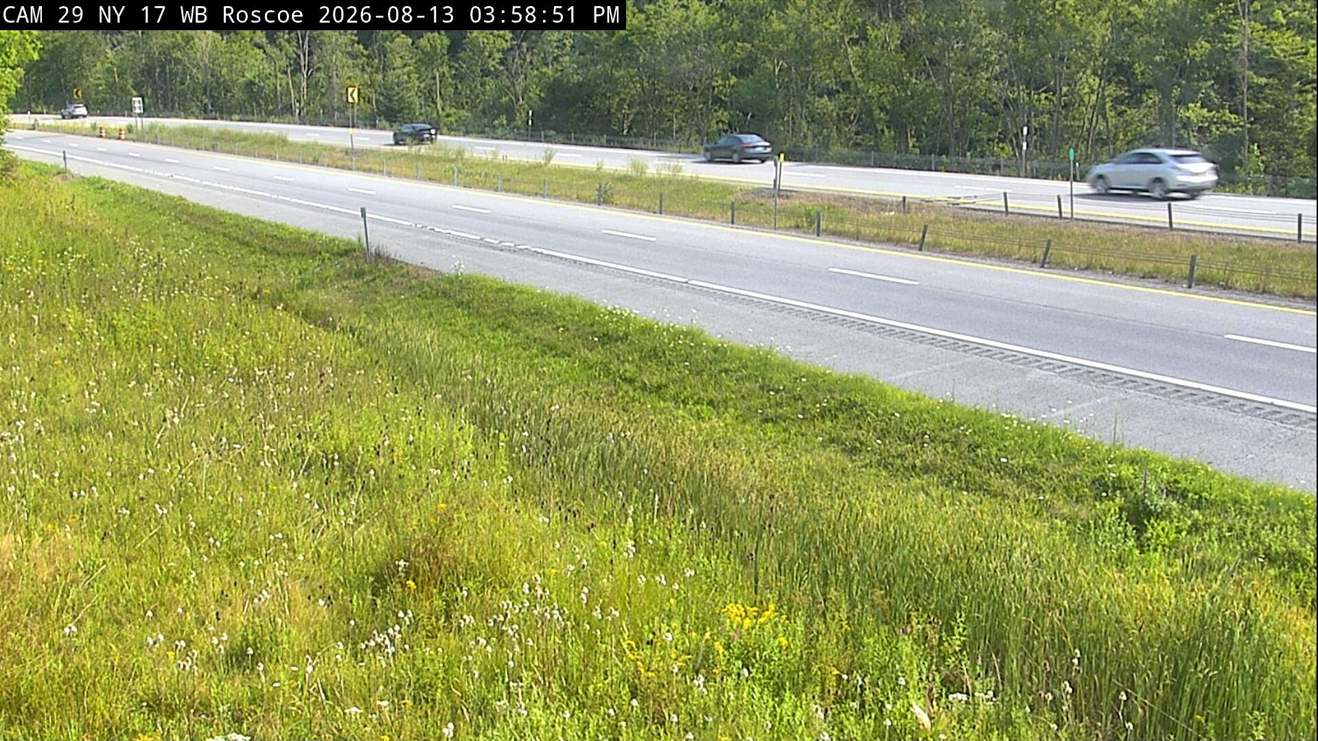 NY 17 at Count Station (Roscoe)