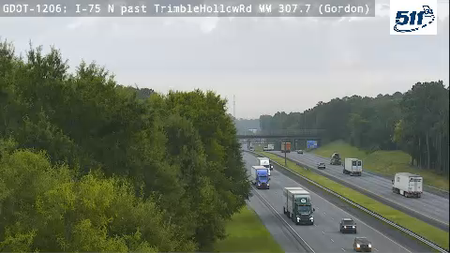 GDOT-1206: I-75 N past TrimbleHollowRd MM 307.8 (Gordon)