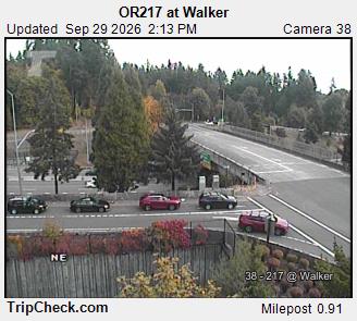 OR217 at Walker