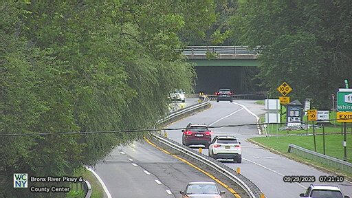 Bronx River Parkway at County Center