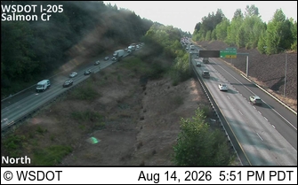 I-205 at MP 36.1: Salmon Creek