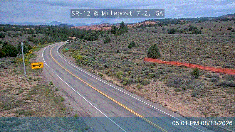 SR-12 @ Milepost 7.25, GA