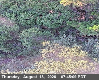 TV451 -- SR-92 : AT RALSTON AV