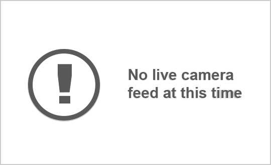 GDOT-1117: I-16 E past US280 MM 143 (Bryan)