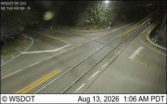 SR 203 at MP 5.2: NE Tolt Hill Rd